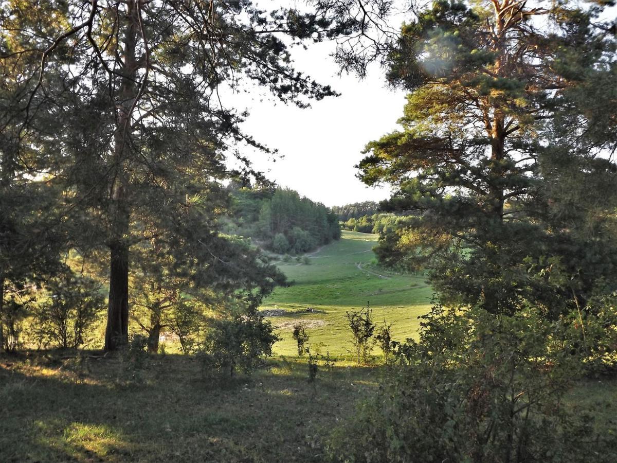 Agroturystyka Dolina23 Villa Piaski Luaran gambar